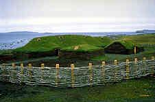 Horse_iceberg.JPG (6080 bytes)